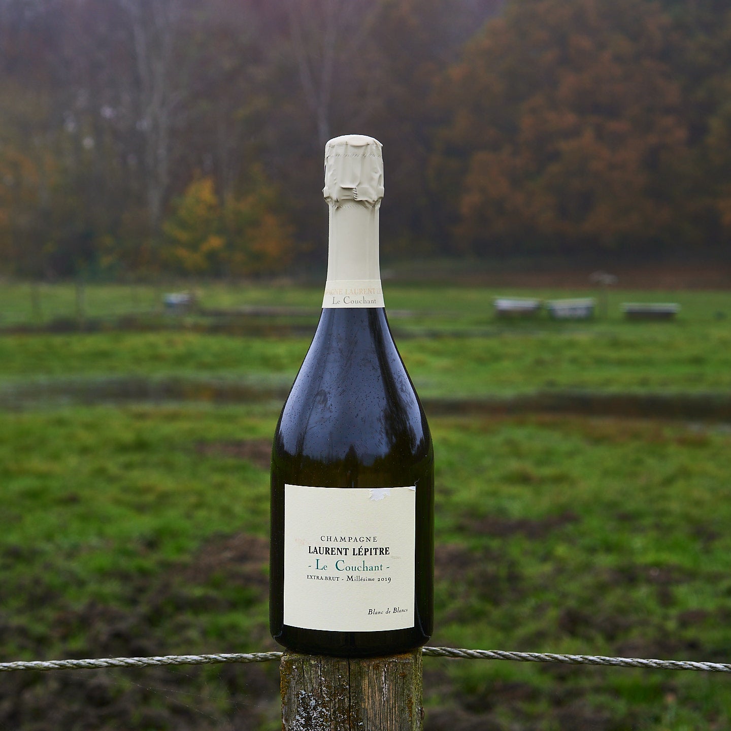 2019 'Le Couchant', Extra brut