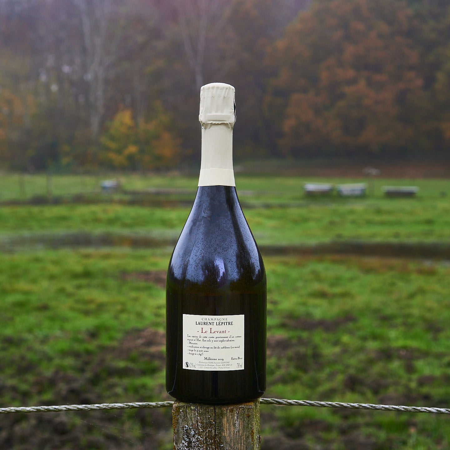 2019 'Le Levant', Extra brut