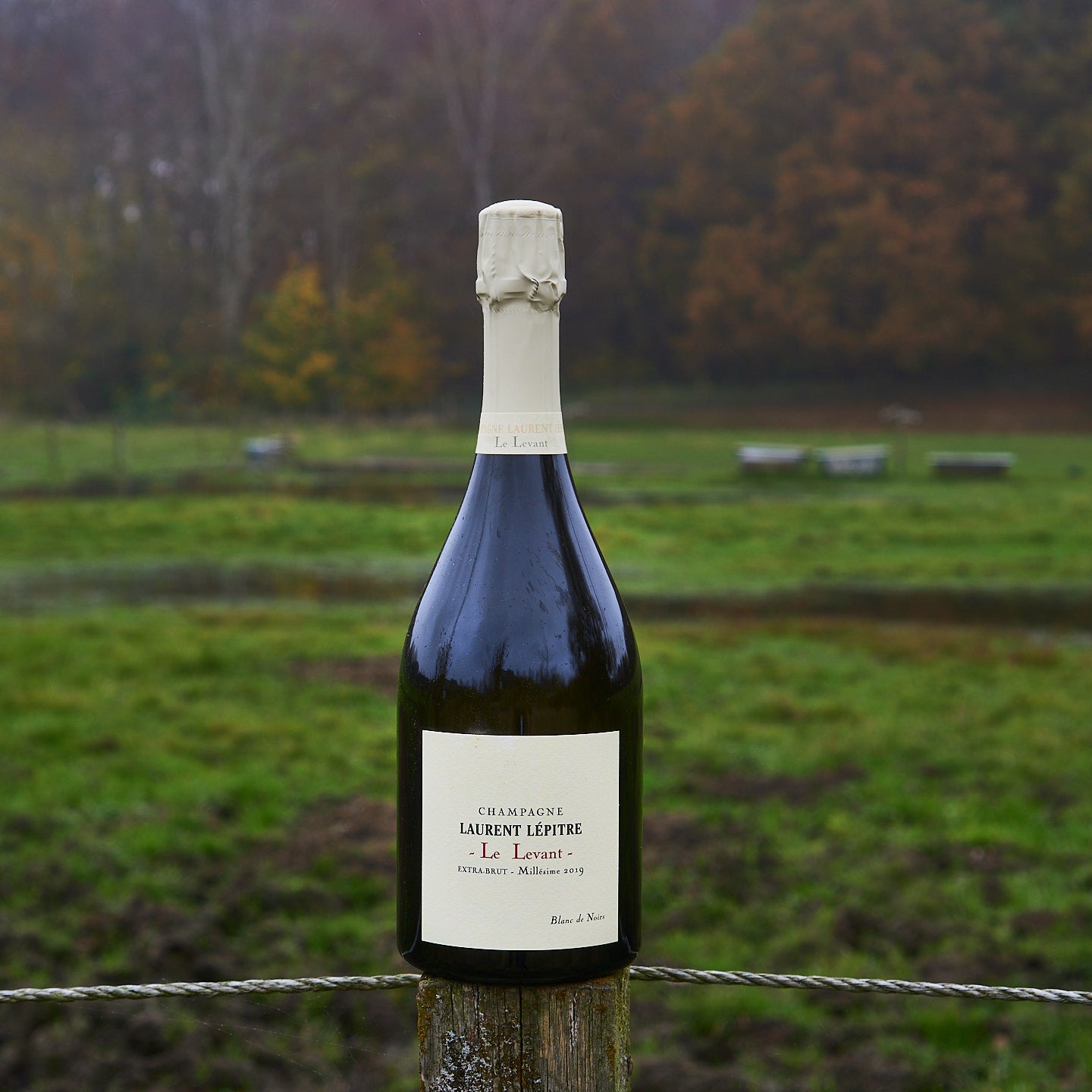 2019 'Le Levant', Extra brut