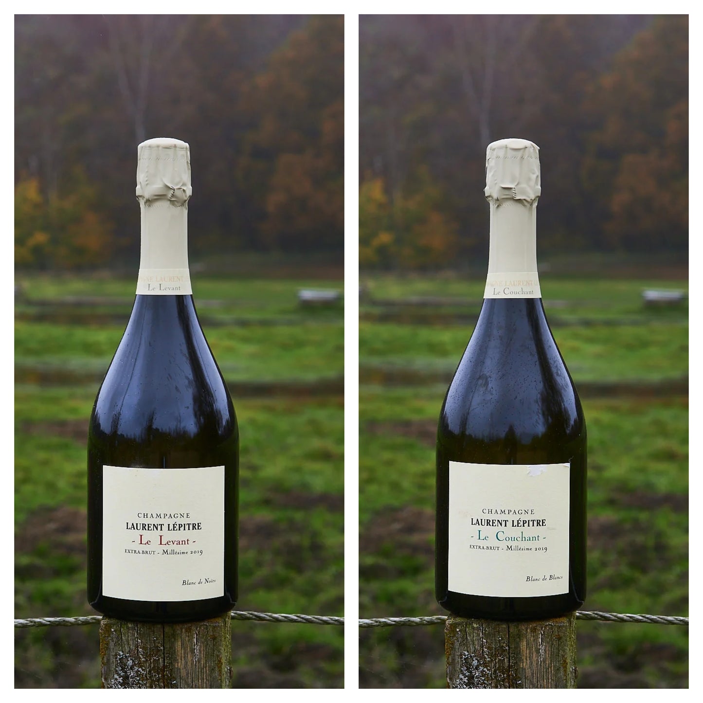 Laurent Lepitre - Smagekasse