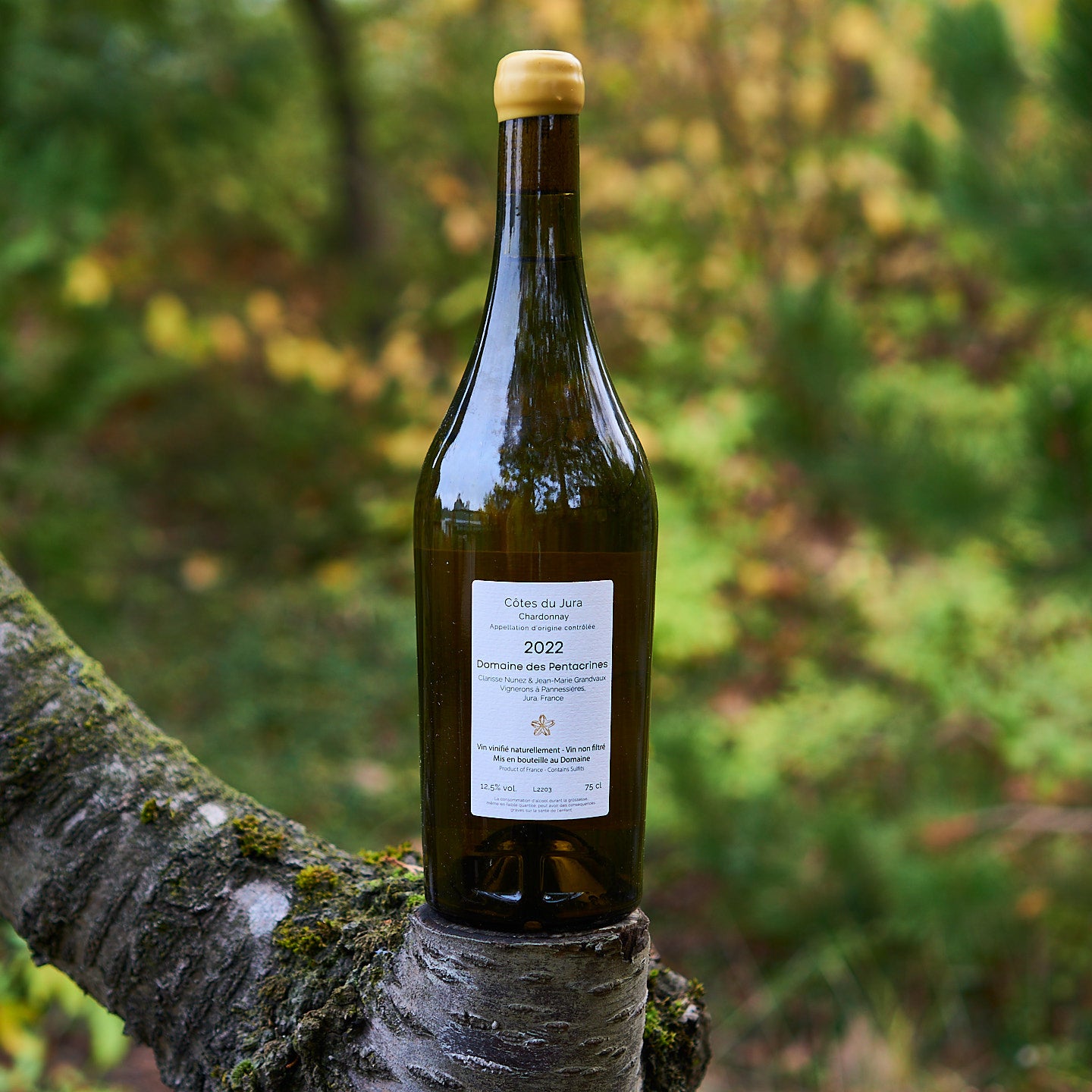 2022 Chardonnay 'Esperluète'