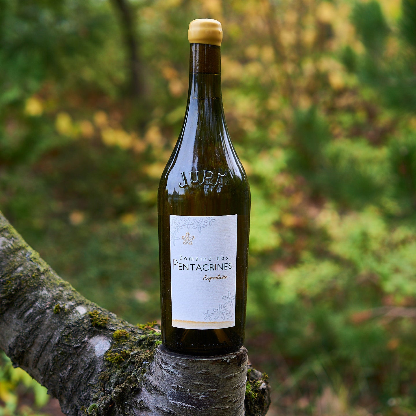 2022 Chardonnay 'Esperluète'