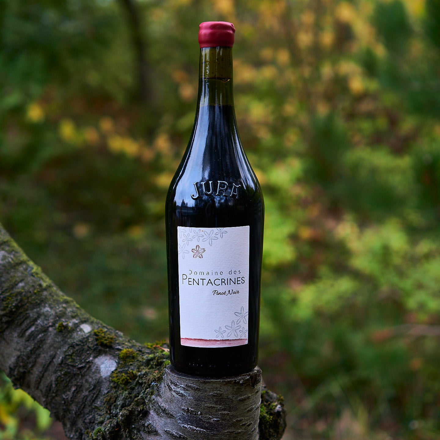 2022 Pinot Noir