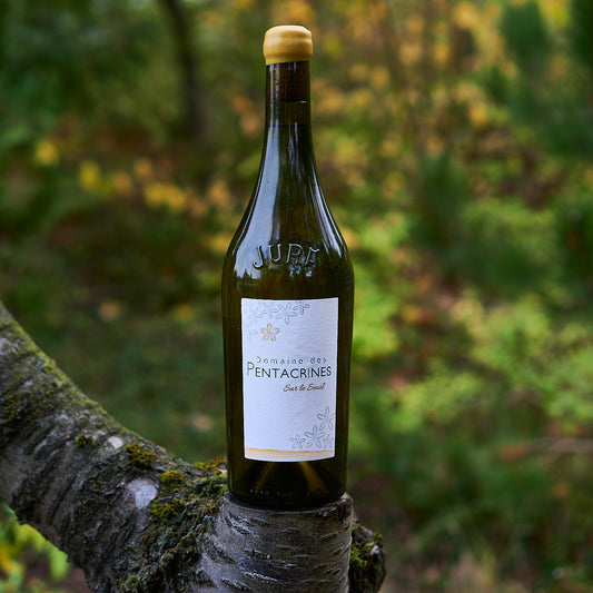 2023 Chardonnay 'Sur Le Seuil'