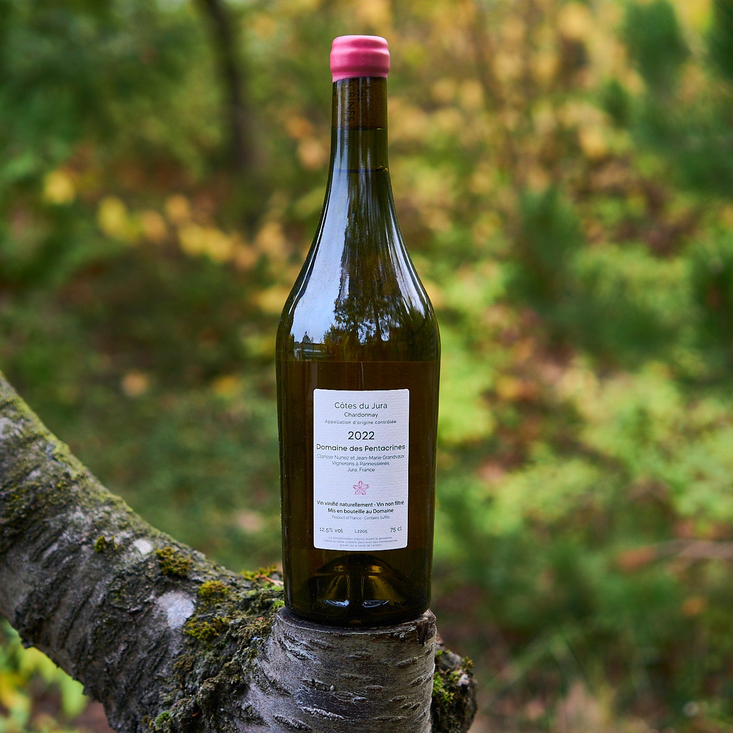 2022 Chardonnay 'Sur Le Fil'