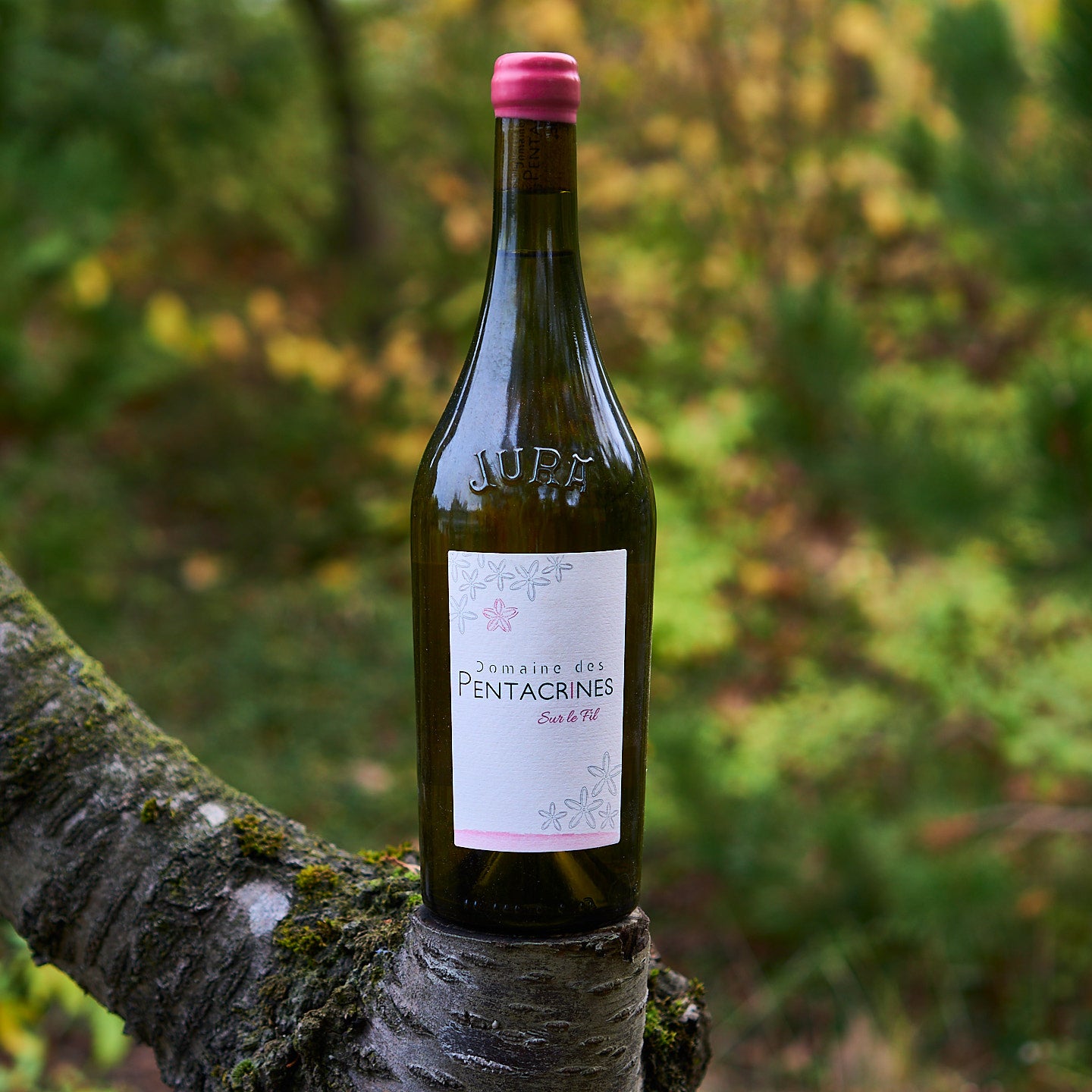 2022 Chardonnay 'Sur Le Fil'