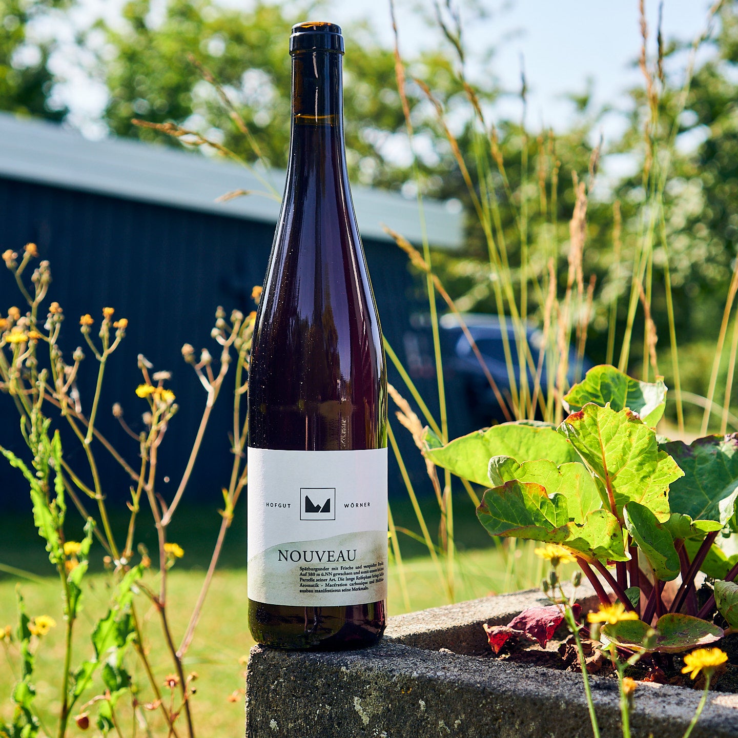 2023 Pinot Nouveau