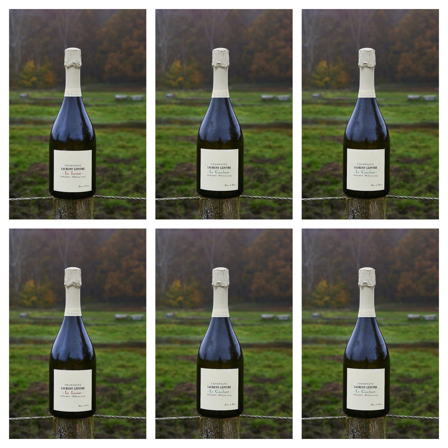 [PRESALE] Laurent Lepitre 2019/2020 bundle