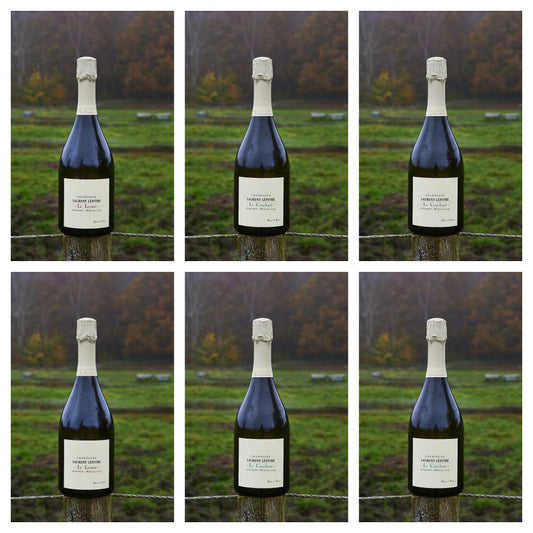 [PRESALE] Laurent Lepitre 2019/2020 bundle