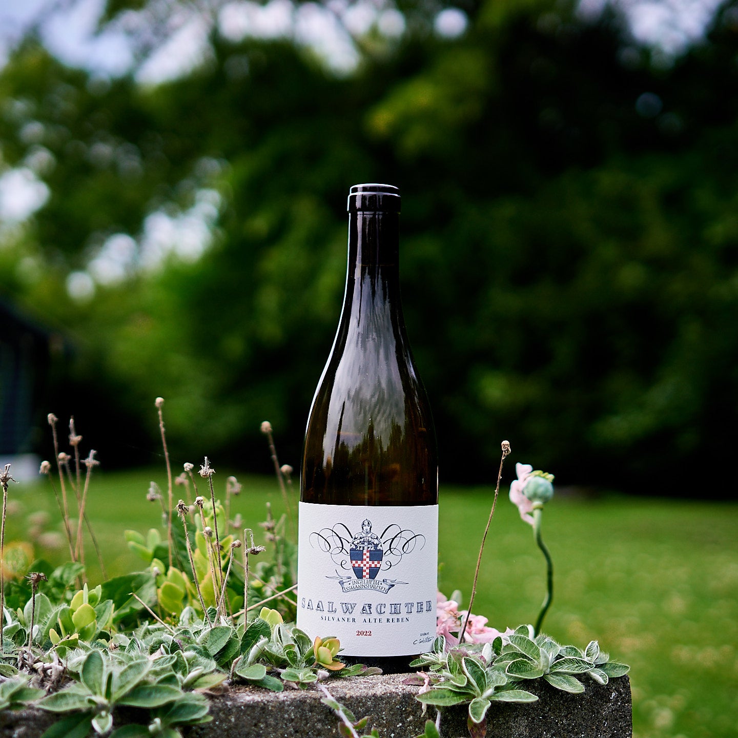2022 Silvaner Alte Reben