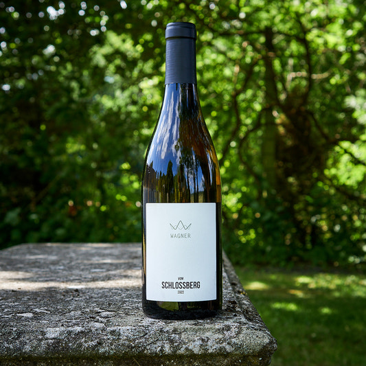 2022 Vom Schlossberg Grauburgunder