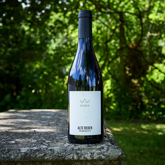 2023 Alte Reben Spätburgunder