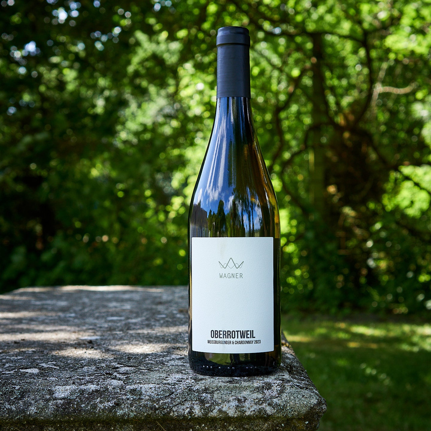 2023 Oberrotweil Weissburgunder/Chardonnay