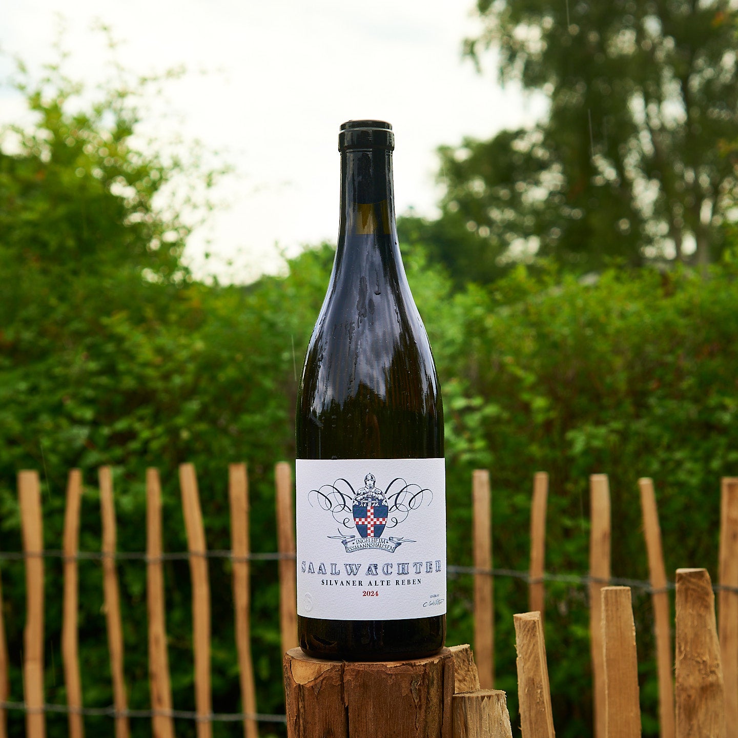 2024 Silvaner Alte Reben