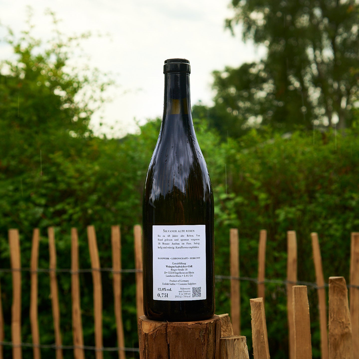 2024 Silvaner Alte Reben
