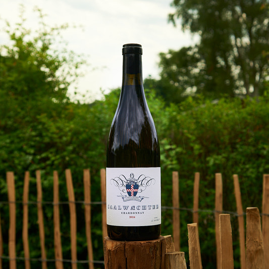 2024 Chardonnay