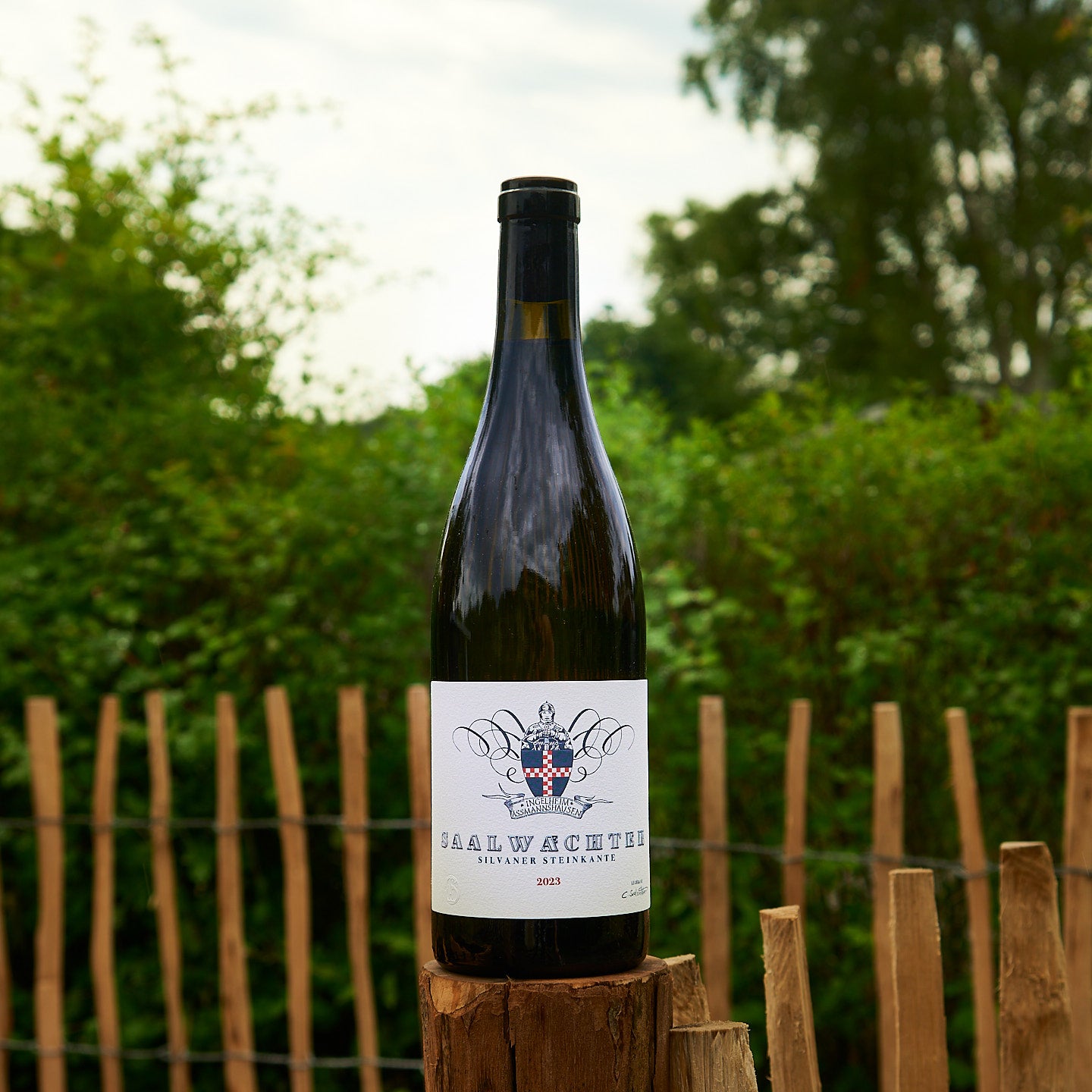 2023 Silvaner 'Steinkante'