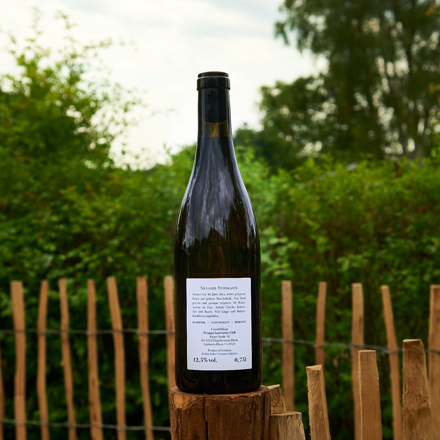 2023 Silvaner 'Steinkante'