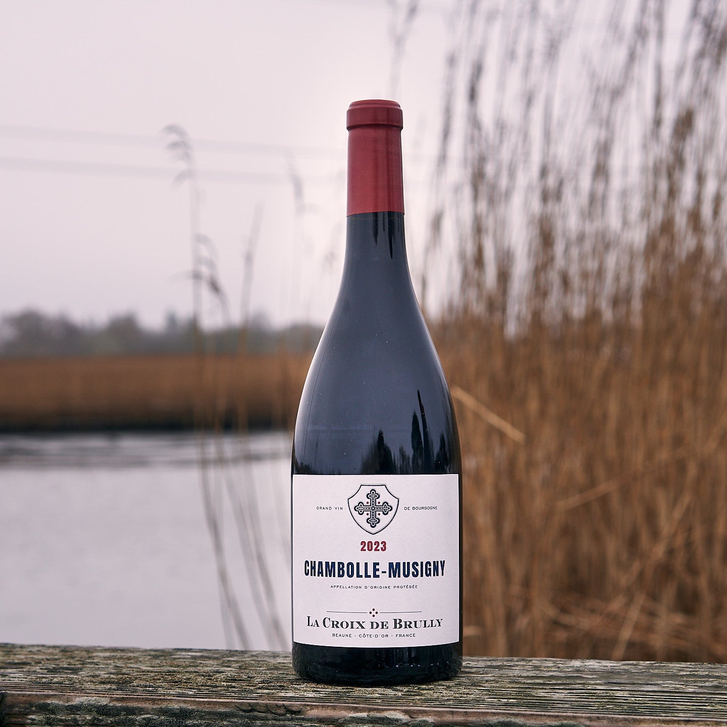 2023 Chambolle-Musigny