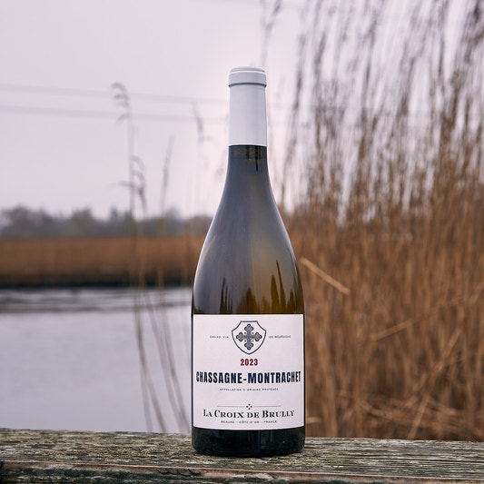 2023 Chassagne-Montrachet