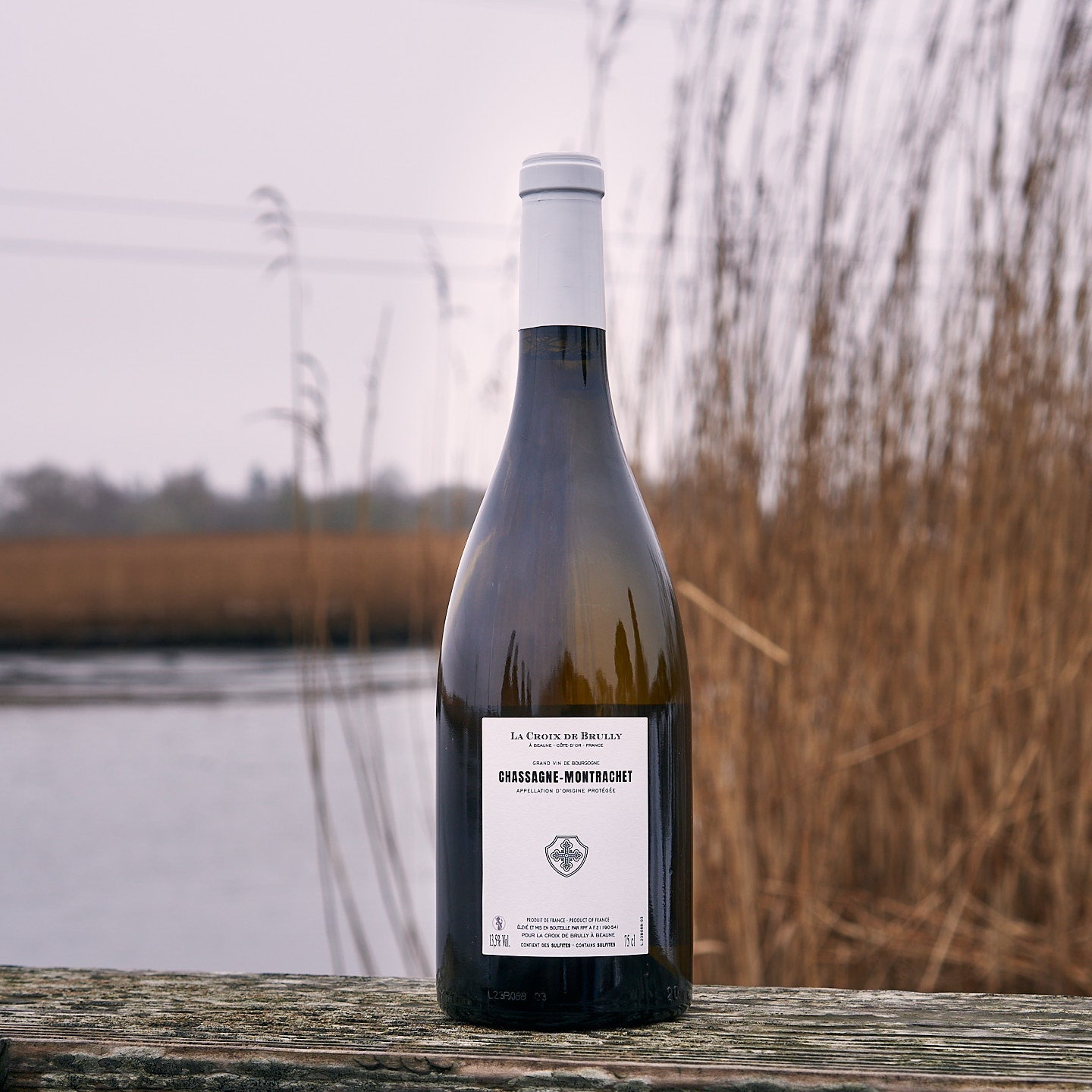 2023 Chassagne-Montrachet