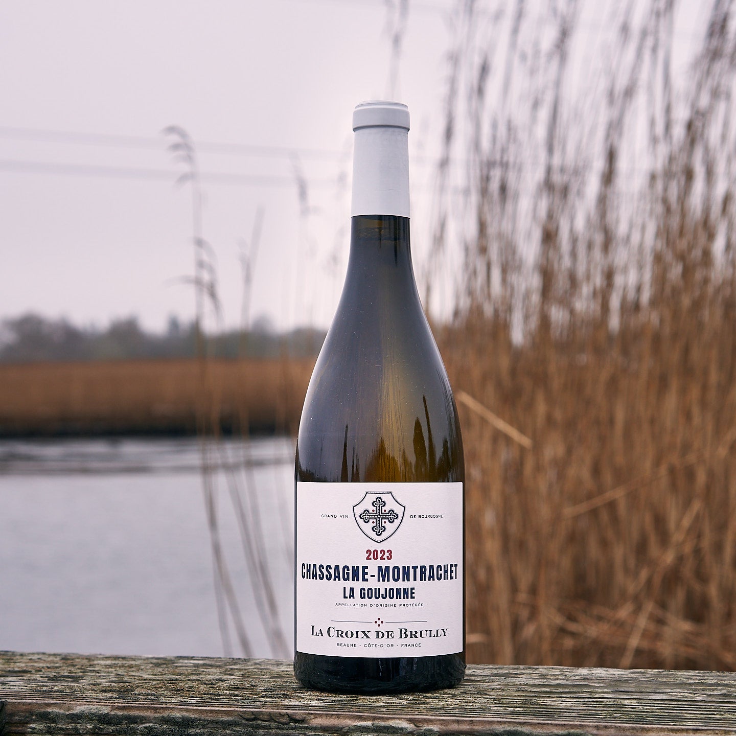 2023 Chassagne-Montrachet 'La Goujonne'