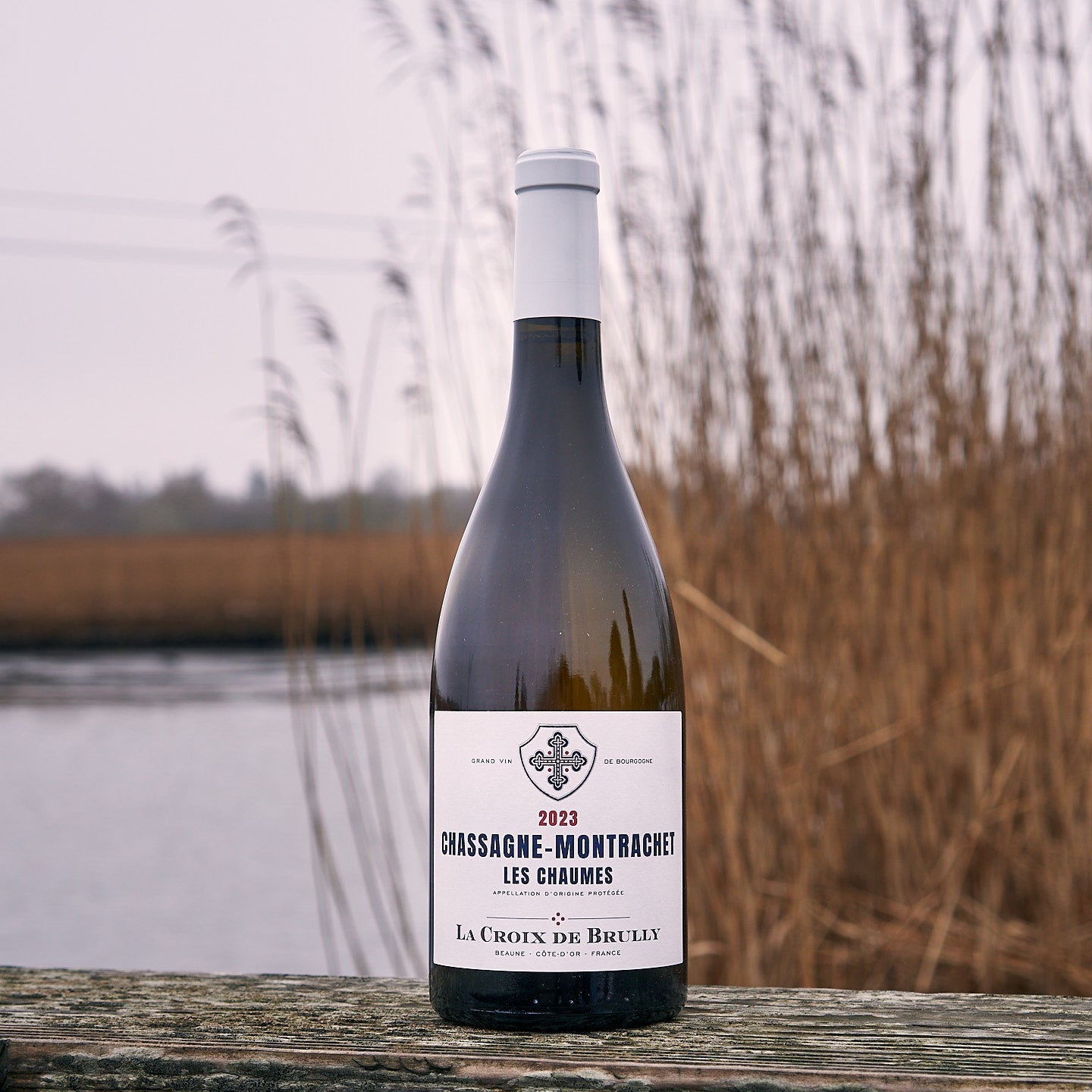 2023 Chassagne-Montrachet 'Les Chaumes'