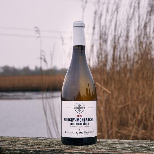 2023 Puligny-Montrachet 'Les Enseignères'