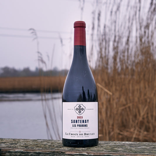 2023 Santenay 'Les Prarons'