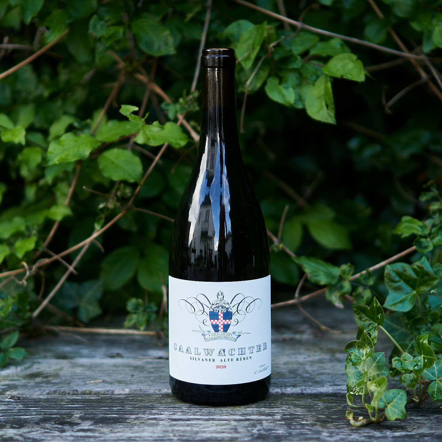 2020 Silvaner Alte Reben - Carsten Saalwächter