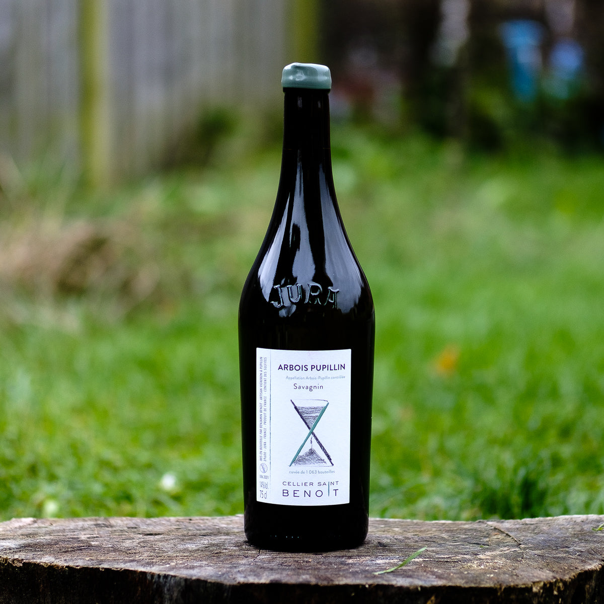 Savagnin