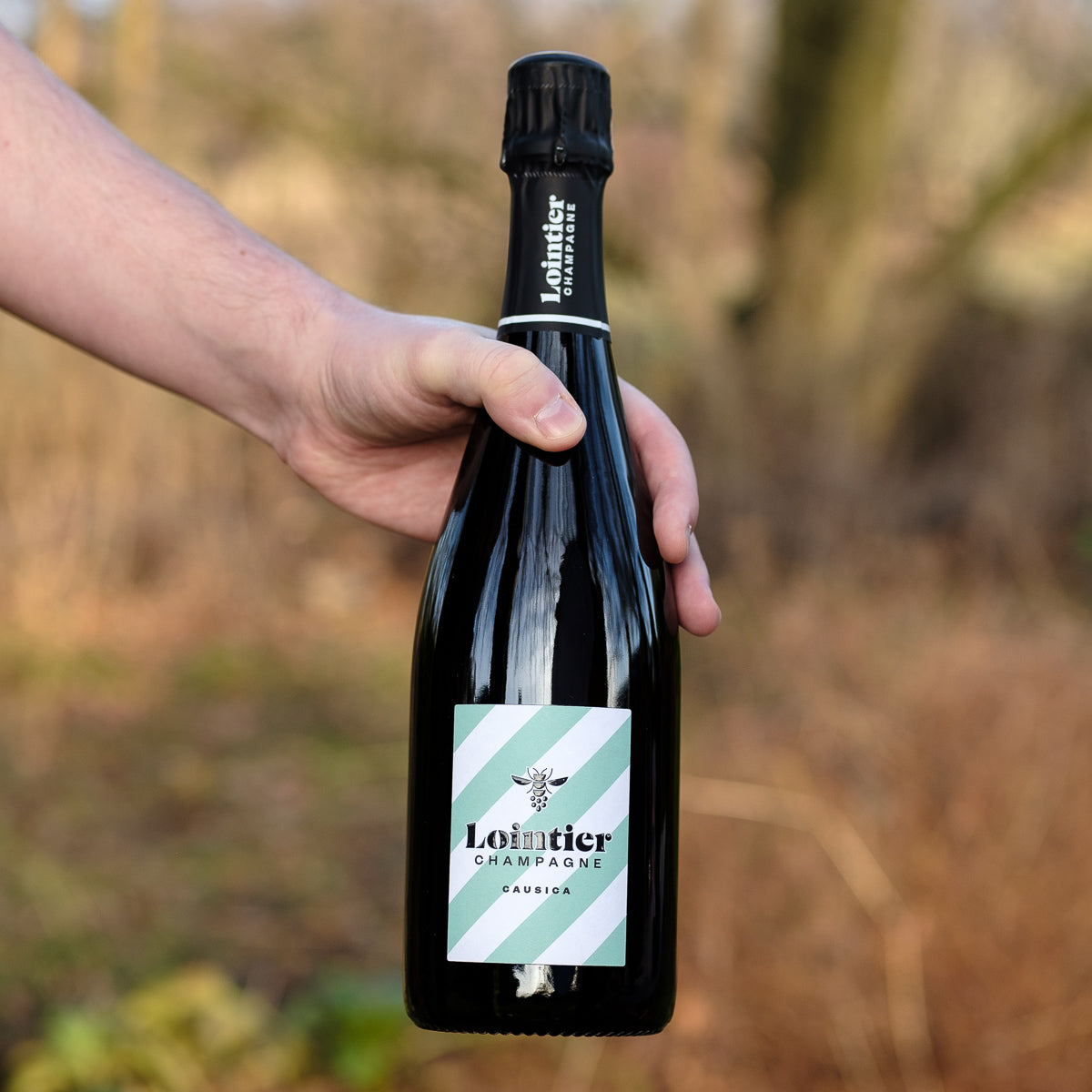 Causica - Champagne Lointier